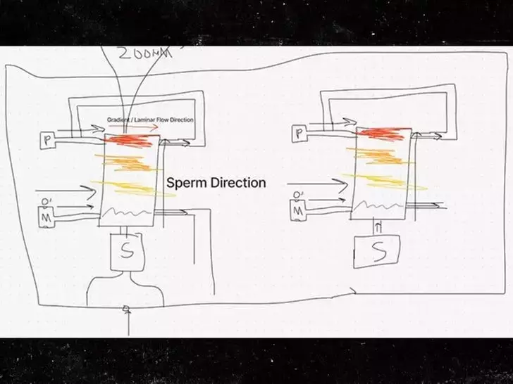 Slide 4