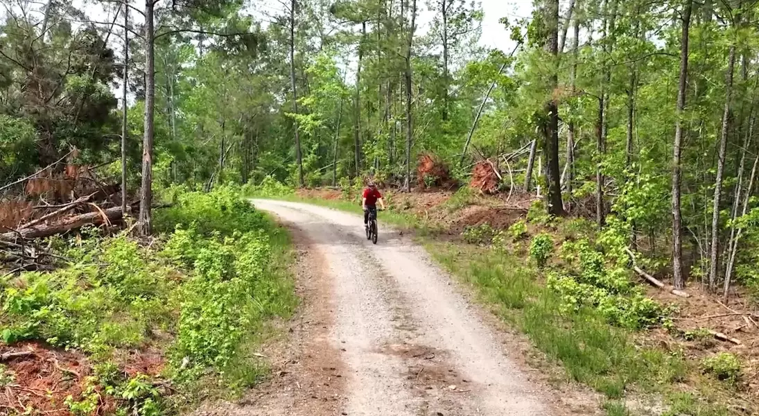 Single Slide