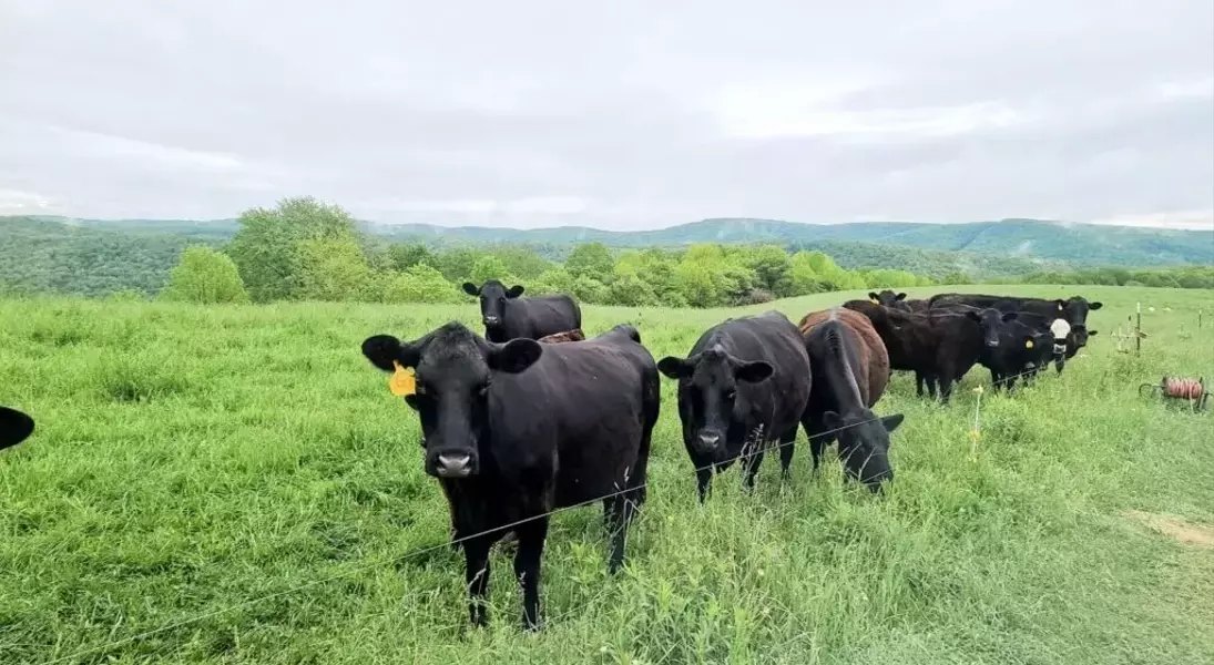 Single Slide