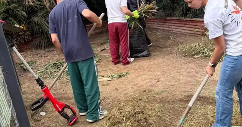 Single Slide