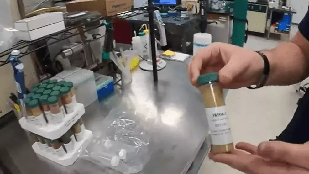 Single Slide