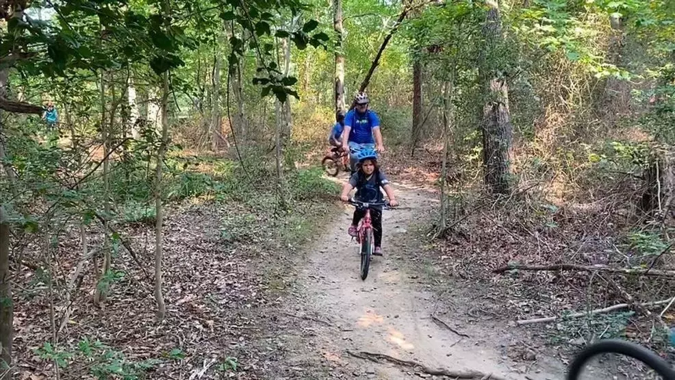 Single Slide