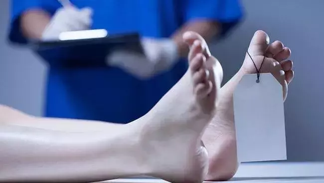 Single Slide