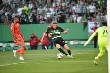 Single Slide