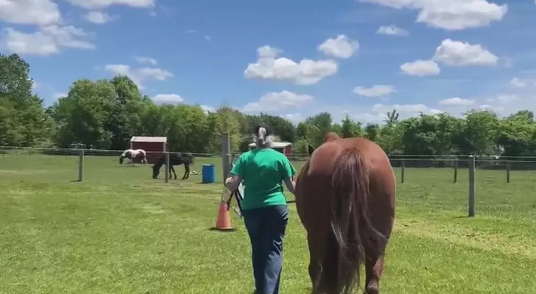 Single Slide