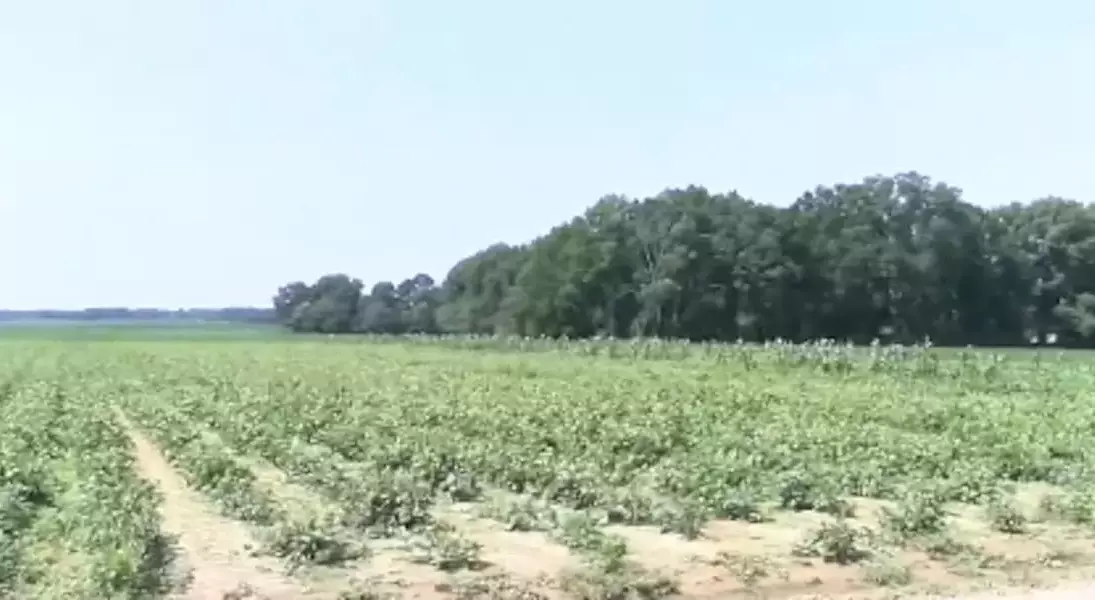 Single Slide