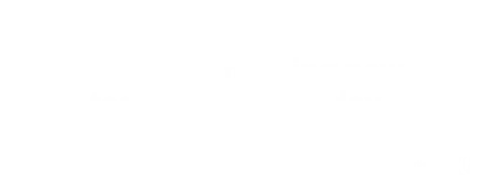 Single Slide