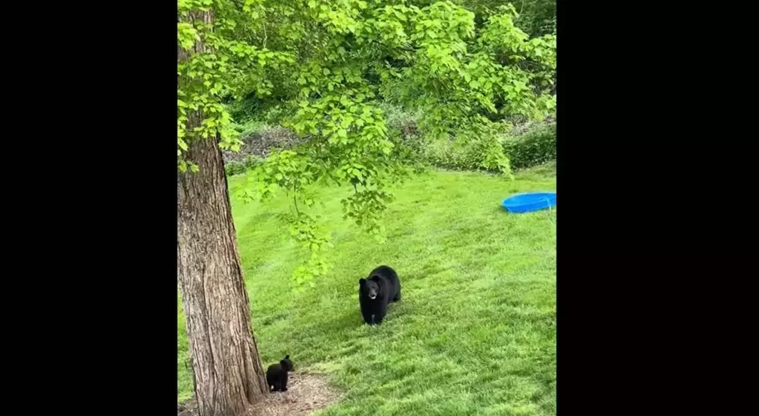 Single Slide