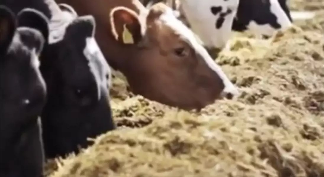 Single Slide