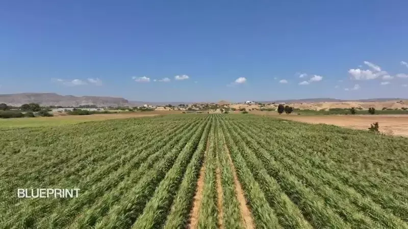 Single Slide