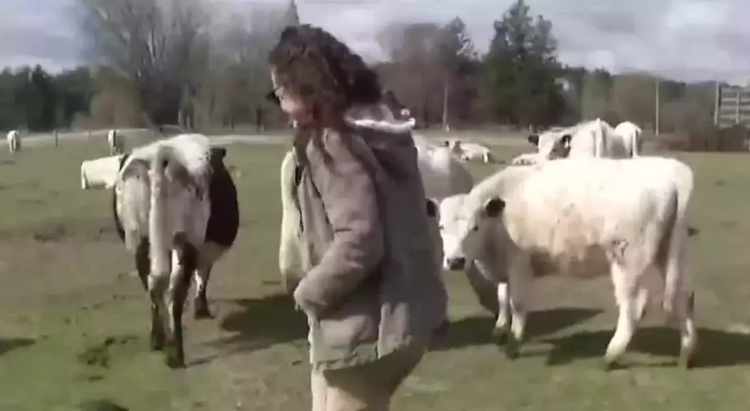 Single Slide