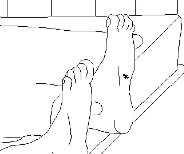 Slide 3