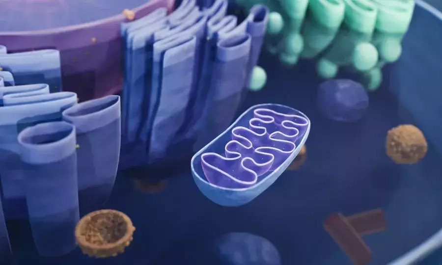 Slide 4
