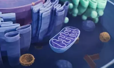 Slide 8