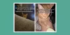 Slide 2