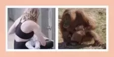 Slide 5