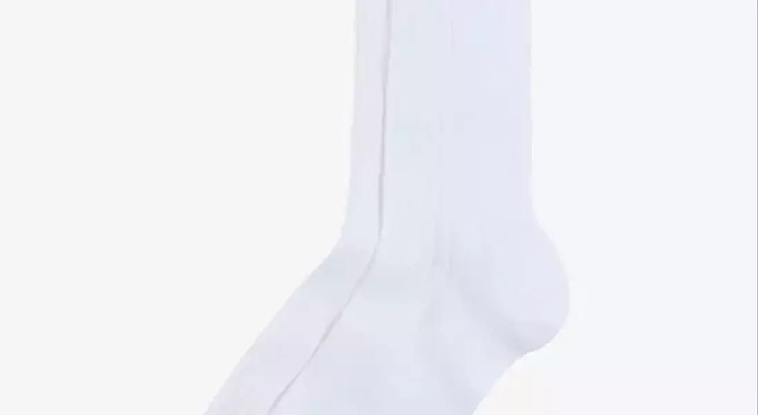 Slide 24
