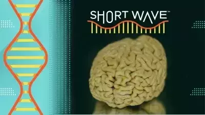 Slide 2
