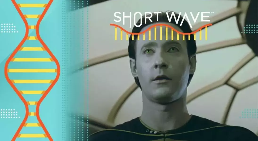 Slide 3