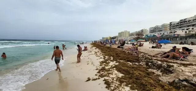 Single Slide