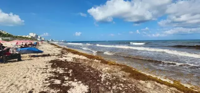 Single Slide