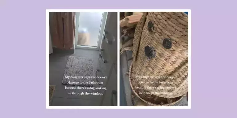 Slide 10