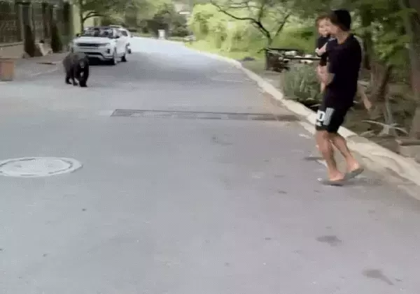 Single Slide