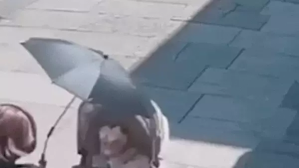 Single Slide