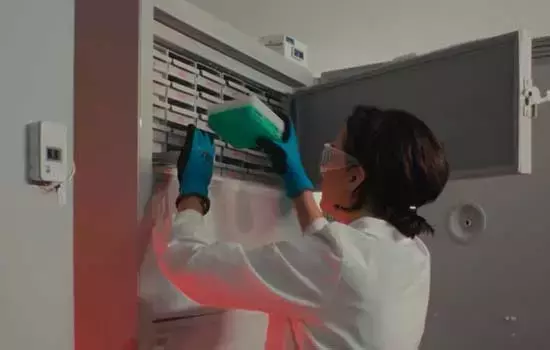 Single Slide