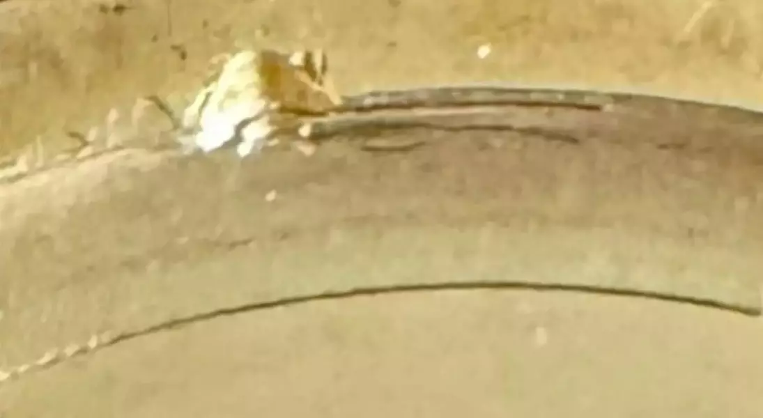 Slide 31