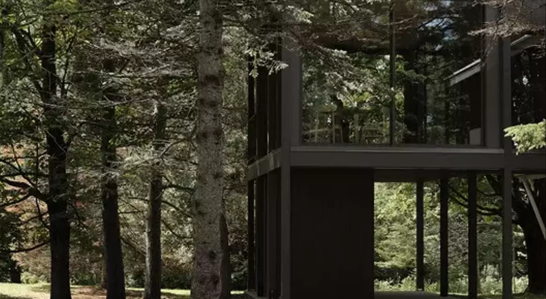 Slide 8