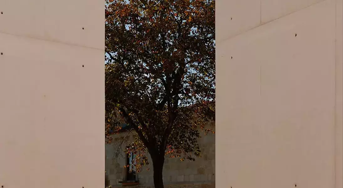 Slide 11