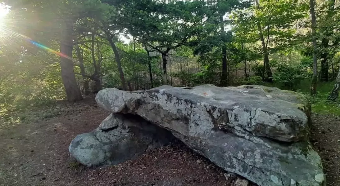 Slide 4