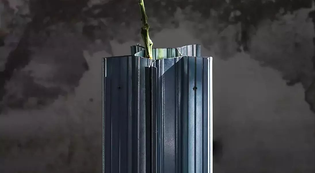 Slide 8