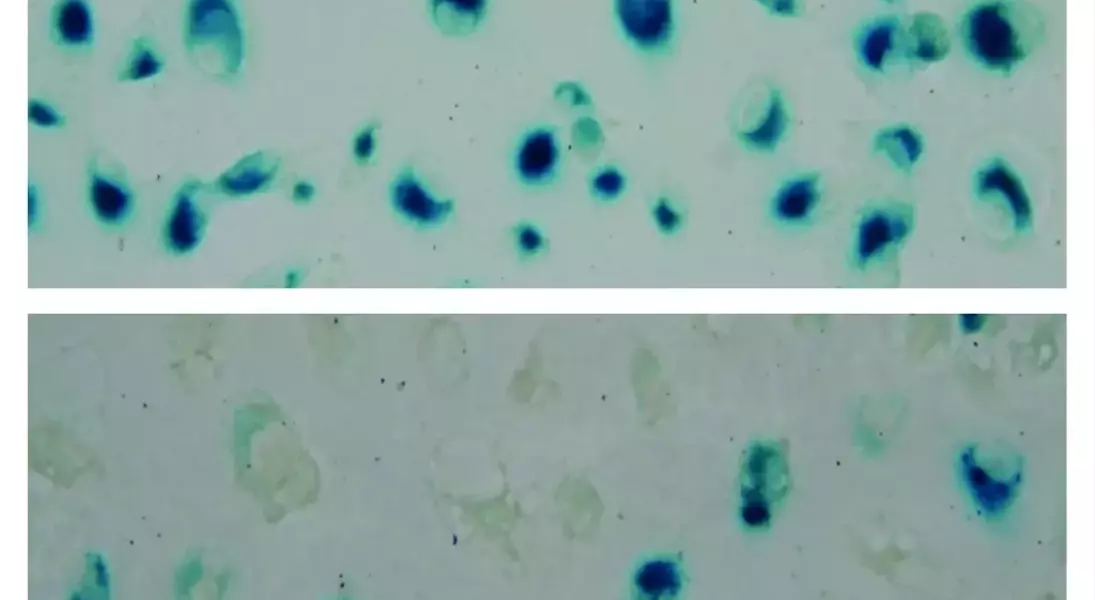 Slide 2