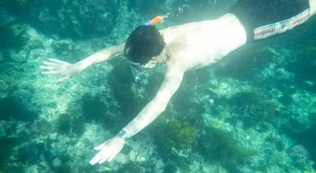 Slide 4