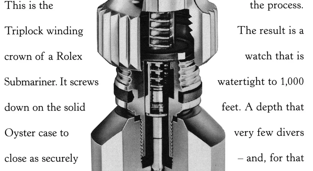 Slide 8