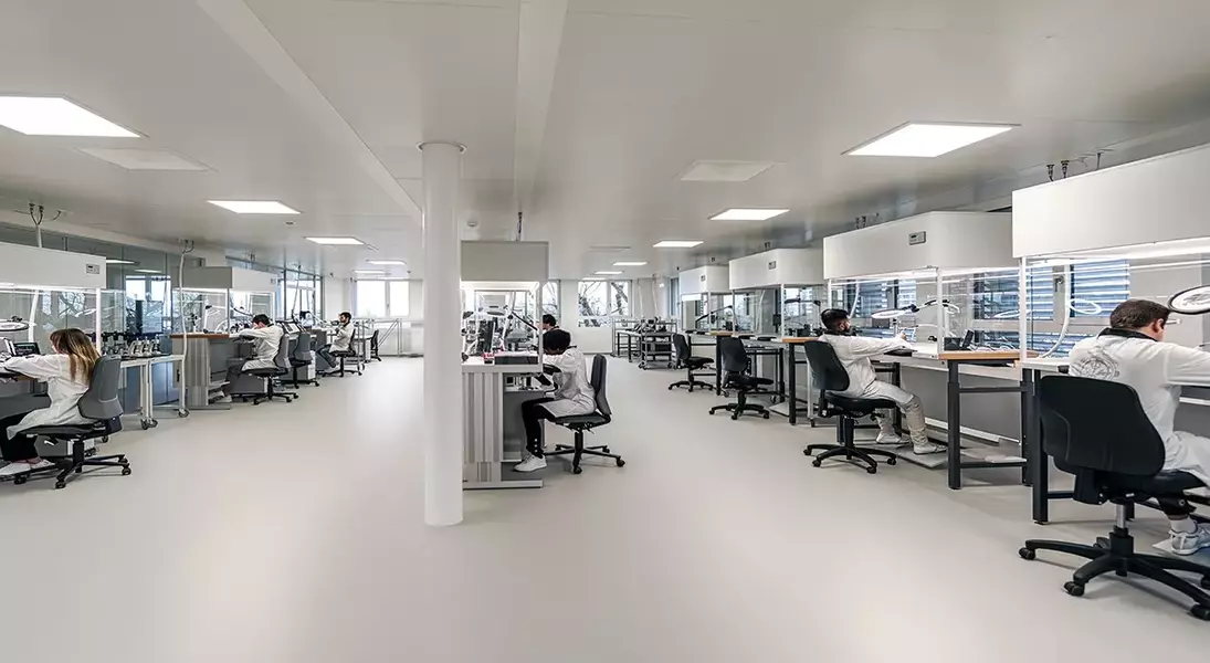 Slide 6