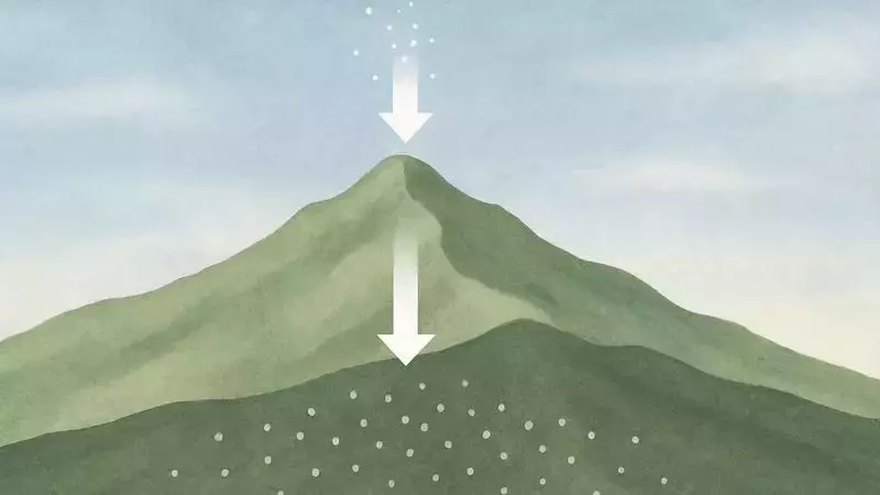 Slide 6