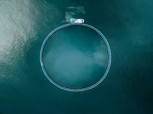 Single Slide