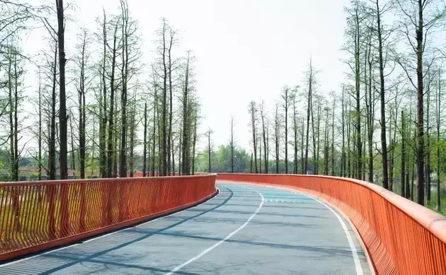 Single Slide