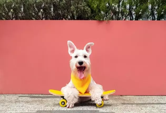Single Slide