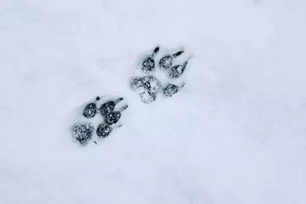 Single Slide
