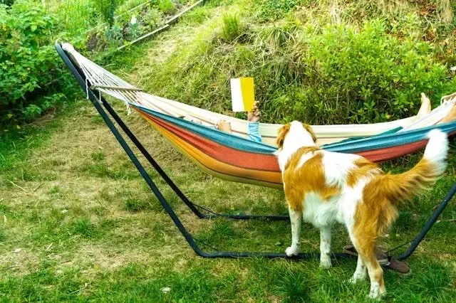 Single Slide