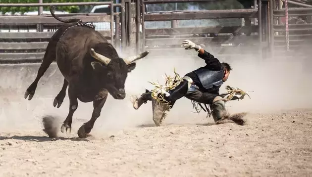 Single Slide