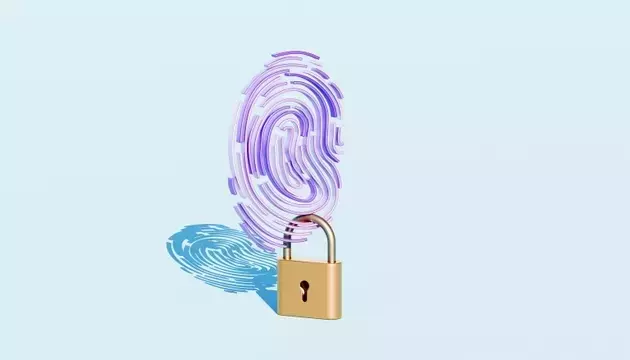 Single Slide