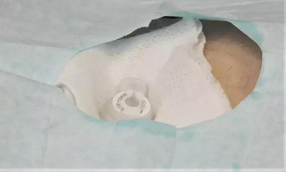 Slide 4