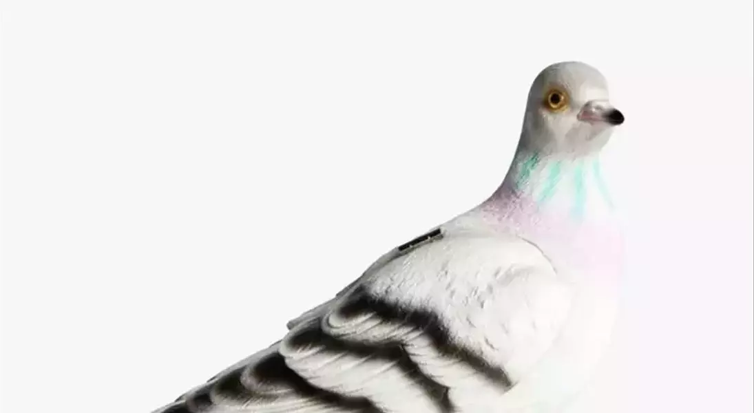 Slide 9