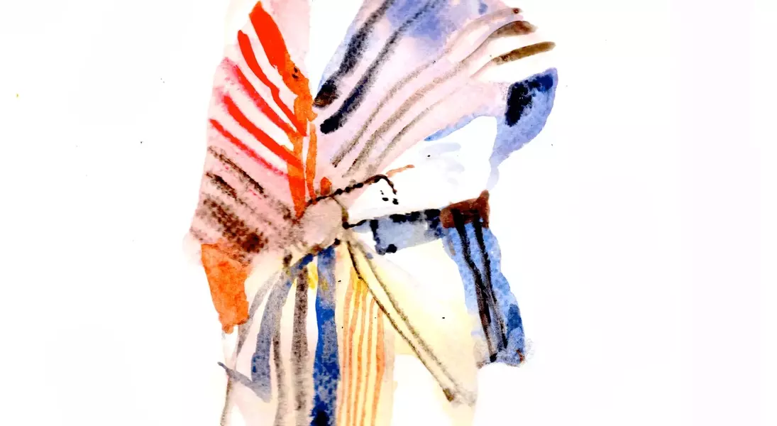 Slide 5