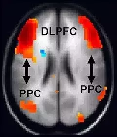 Slide 8